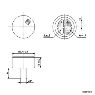 DG09745CD(-P) микрофоны RUICHI даташит схема